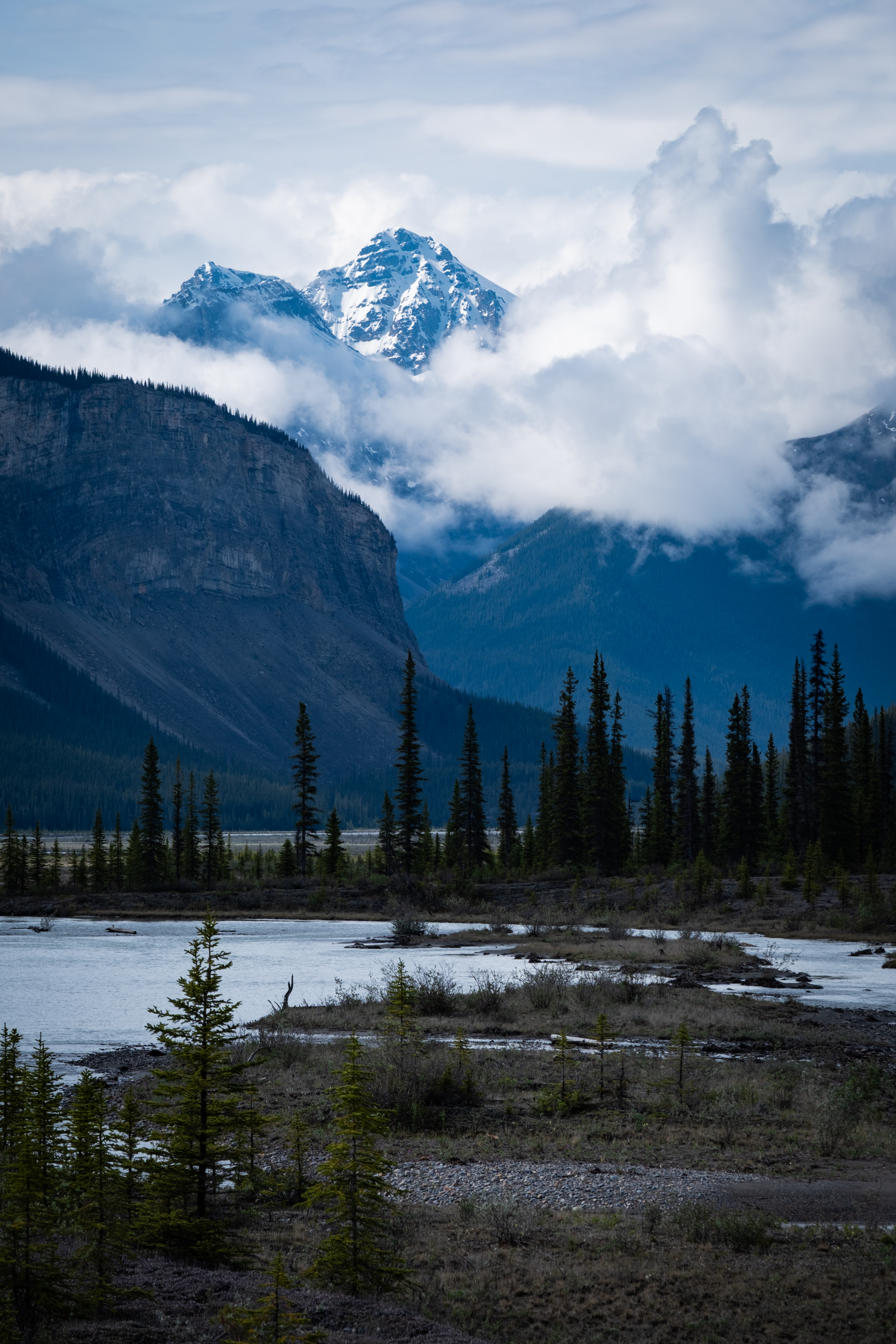 Landscapes 1